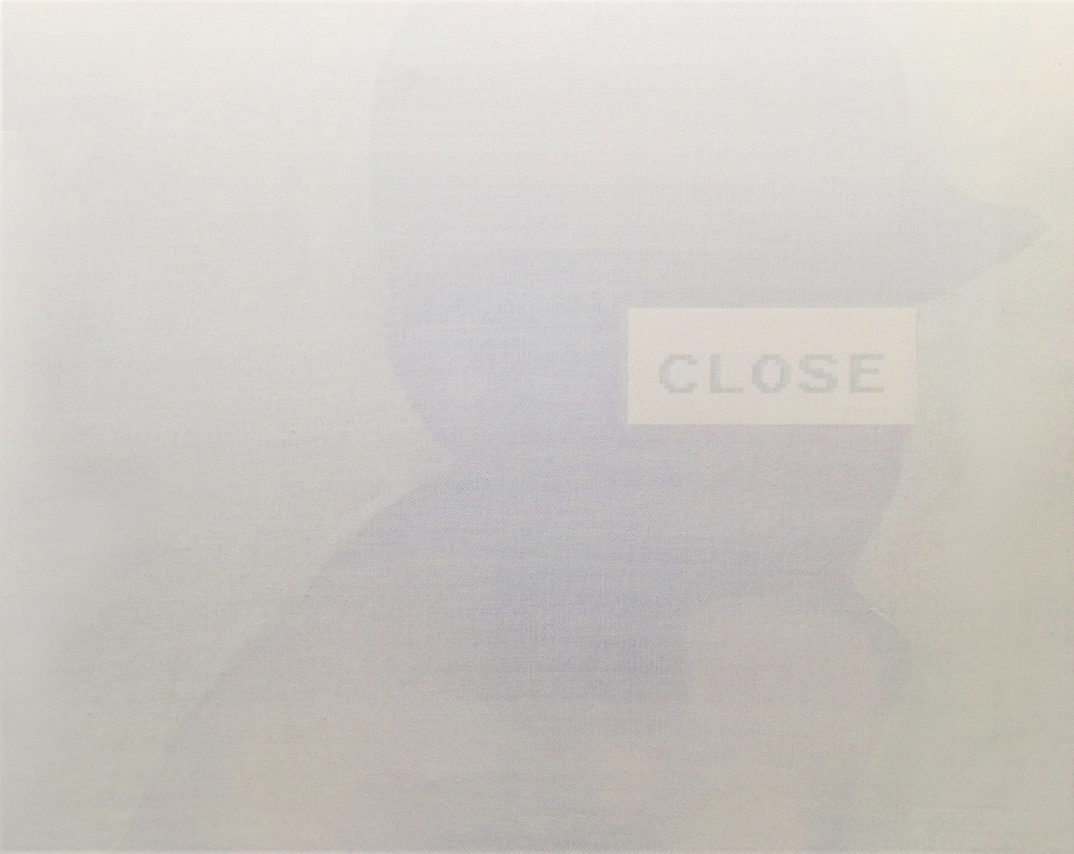 2016 CLOSE ( webcam Levain )39 cm x 31 cm opera su tela numero 06 